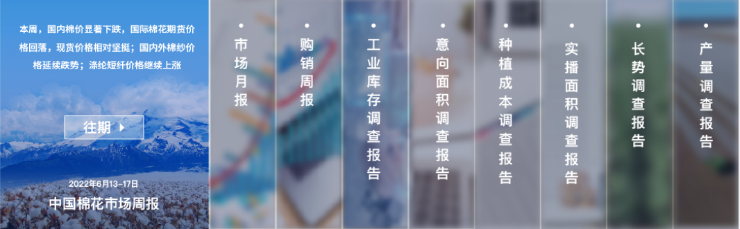 中國棉花網報告設計